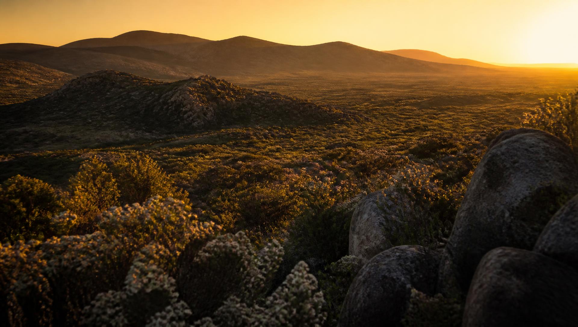 Golden dusk over the Namakwaland hills